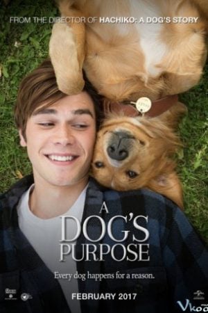 Mục Đích Sống Của Một Chú Chó – A Dog’s Purpose